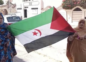 بالفيديو :  المناضلتين “إزانة أميدان” و”حدهم فريك” يلبيان نداء حملة “علمي على منزلي” الوطنية التضامنية مع الجسورة “سلطانة خيا”.