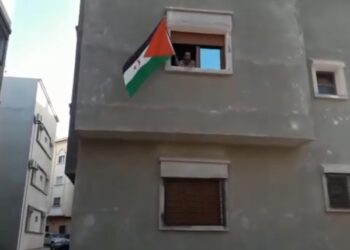 بالفيديو : المناضل “دافة أحمد بابو” يلبي نداء حملة “علمي على منزلي” الوطنية التضامنية مع الجسورة “سلطانة خيا”.