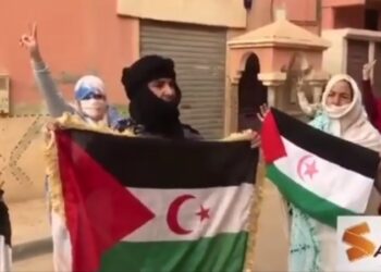 بالفيديو : أشبال السمارة يلبون نداء حملة “علمي على منزلي” الوطنية التضامنية مع الجسورة “سلطانة خيا”.