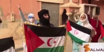 بالفيديو : أشبال السمارة يلبون نداء حملة “علمي على منزلي” الوطنية التضامنية مع الجسورة “سلطانة خيا”.