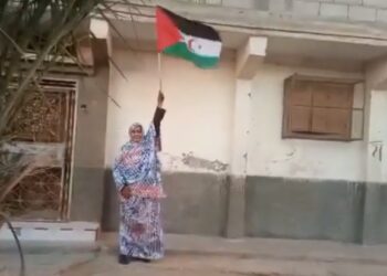 بالفيديو : المناضلة “سكينة جد أهلو” يلبي نداء حملة “علمي على منزلي” الوطنية التضامنية مع الجسورة “سلطانة خيا”.