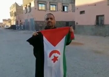 بالفيديو : من آسا الشامخة “أعلي سالم التامك” يلبي نداء حملة “علمي على منزلي” التضامنية مع الجسورة “سلطانة خيا”.