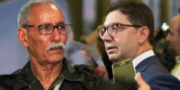 بالفيديو : بوريطة في ورطة