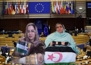 البرلمان الأوروبي : دعوات من أجل التدخل لوقف العدوان المغربي على الناشطتين مينة أباعلي وسلطانة خيا.