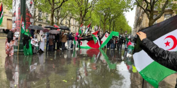 بالفيديو والصور : شاهد كيف تزينت شوارع باريس بالأعلام الصحراوية في مظاهرات المخلدة لذكرى 20 ماي ومتضامنة مع أهل خيا وأهلي الأرض المحتلة.