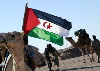 هذه هي سبع حقائق تجعل من وجود البوليساريو ضروري لتوازن وإستقرار المنطقة