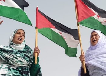 نساء المجلس الوطني يستحضرن بإجلال وتقدير تضحيات المناضلة سلطانة خيا وعائلتها الصامدة.