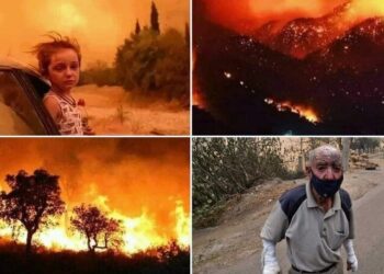 الشعب الصحراوي بالأرض المحتلة يعزي نظيره الجزائري في ضحايا حرائق الغابات.