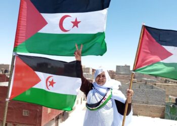 الإيداع العلني لملف ترشيح الناشطة سلطانة خيا لجائزة ساخاروف في جلسة مشتركة بالبرلمان الأوروبي في بروكسيل.