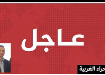 هل ستتقدم الجمهورية الصحراوية بطلب عضو صفة دولة مراقب في منظمة الأمم المتحدة، كما حدث مع دولة فلسطين ؟