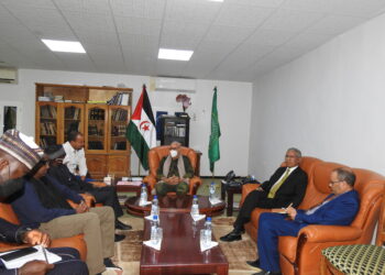 رئيس الجمهورية يستقبل مفوض الإتحاد الأفريقي المكلف بالشؤون السياسية والسلم والأمن (+التفاصيل).