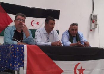 بالصور : الجالية الصحراوية في أراغون تصنع الحدث في الذكرى 47 للوحدة الوطنية.