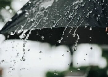 بالفيديو : نشرة إنذارية لميزرات .. دخول منخفض جوي عالي الفعالية سيعطي أمطاراً غزيرة إبتداء من مساء الخميس إلى غاية يوم الأحد بمناطق عديدة من الصحراء الغربية.