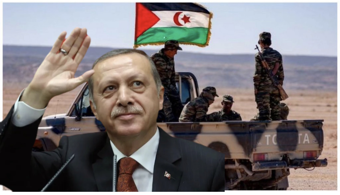 عاجل بعد تصريحاته حول الصحراء الغربية الخارجة عن السياق والغير محسوبة تركيا تستدعي سفيرها 