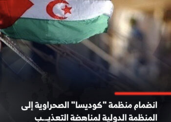 سابقة على مستوى الأرض المحتلة : منظمة “كوديسا” تنضم للمنظمة الدولية لمناهضة التعذيب.